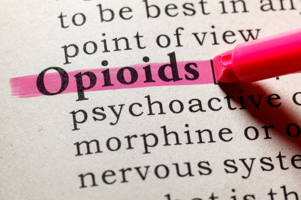 opioid definition in a dictionary