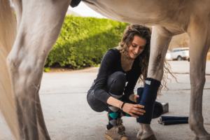 equine therapy for teens