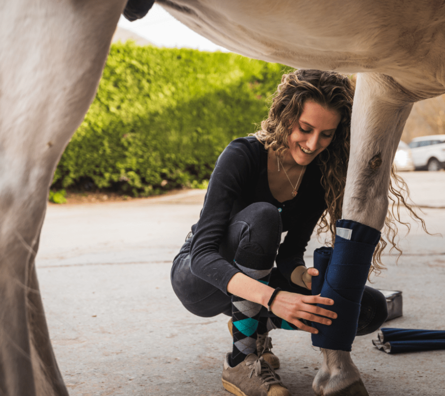 equine therapy for teens