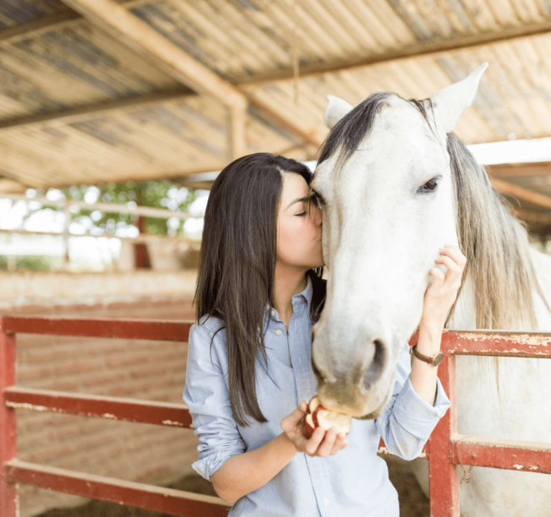 equine therapy for tens